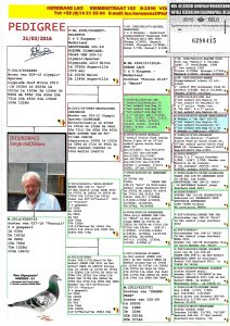 هيرمن كوستر