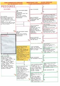 ستيفان لامبرخت