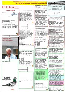 هيرمن كوستر