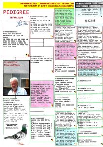 هيرمن كوستر