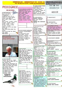 هيرمن كوستر