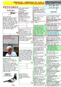 هيرمن كوستر