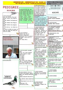 هيرمن كوستر