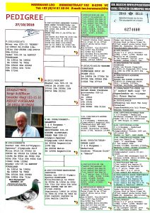 هيرمن كوستر