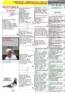 هيرمن كوستر