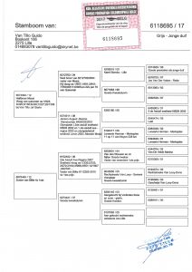 فانتيلو كيدو