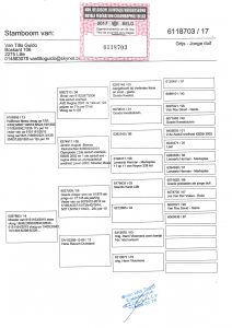 فانتيلو كيدو