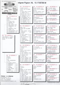 بيتر ميروي ابن رونالدو