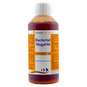 بكتريال ميكا اويل